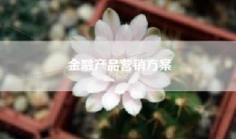 金融产品营销方案