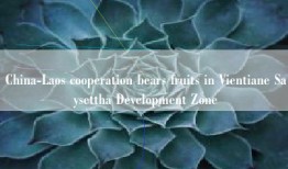 China-Laos cooperation bears fruits in Vientiane Saysettha Development Zone