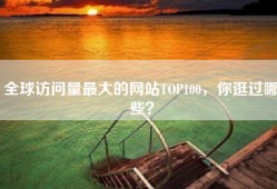 全球访问量最大的网站TOP100，你逛过哪些？