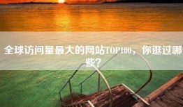 全球访问量最大的网站TOP100，你逛过哪些？