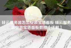 硅云服务器怎么安装宝塔面板 硅云服务器安装宝塔面板教程【详解】