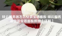 硅云服务器怎么安装宝塔面板 硅云服务器安装宝塔面板教程【详解】
