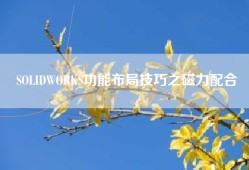 SOLIDWORKS功能布局技巧之磁力配合