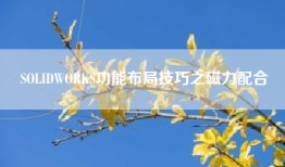 SOLIDWORKS功能布局技巧之磁力配合