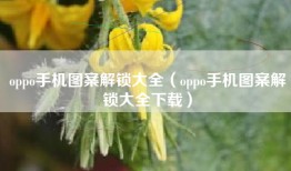 oppo手机图案解锁大全（oppo手机图案解锁大全下载）