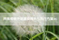 网易相册外链建设规划与执行方案305