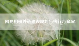 网易相册外链建设规划与执行方案305