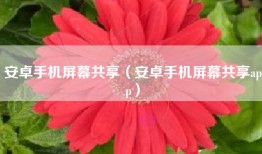 安卓手机屏幕共享（安卓手机屏幕共享app）