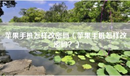 苹果手机怎样改密码（苹果手机怎样改密码？）