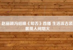 赵丽颖冯绍峰《知否》首播 生活流古装展现人间烟火