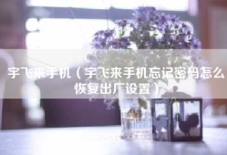 宇飞来手机（宇飞来手机忘记密码怎么恢复出厂设置）