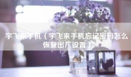宇飞来手机（宇飞来手机忘记密码怎么恢复出厂设置）