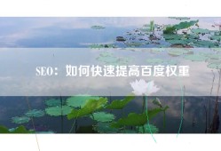 SEO：如何快速提高百度权重