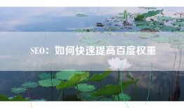 SEO：如何快速提高百度权重