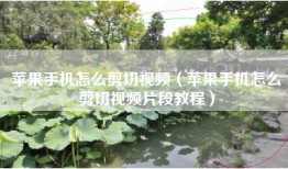 苹果手机怎么剪切视频（苹果手机怎么剪切视频片段教程）
