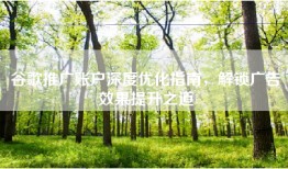 谷歌推广账户深度优化指南，解锁广告效果提升之道