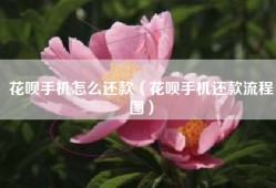 花呗手机怎么还款（花呗手机还款流程图）