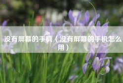 没有屏幕的手机（没有屏幕的手机怎么用）