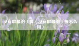 没有屏幕的手机（没有屏幕的手机怎么用）