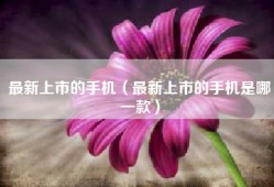 最新上市的手机（最新上市的手机是哪一款）