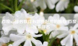 百度seo排名软件有哪些好用的推荐-百度seo搜索排名