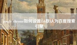 google chrome如何设置tab默认为百度搜索引擎