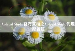 Android Studio官方文档之Android Studio代理配置篇