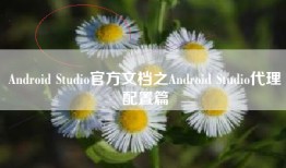 Android Studio官方文档之Android Studio代理配置篇