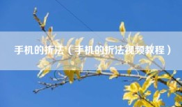 手机的折法（手机的折法视频教程）