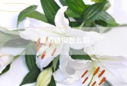 锚点链接怎么做