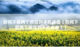 如何下载两个微信到手机桌面（如何下载两个微信到手机桌面上）