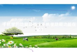 手机里的隐藏功能（手机里隐藏功能在哪）