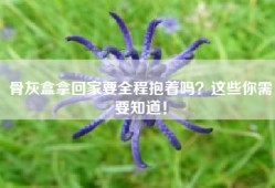 骨灰盒拿回家要全程抱着吗？这些你需要知道！