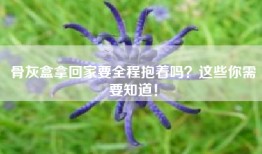 骨灰盒拿回家要全程抱着吗？这些你需要知道！