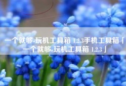 一个就够-玩机工具箱 1.2.3手机工具箱「一个就够-玩机工具箱 1.2.3」