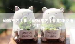 破解华为手机（破解华为手机健康使用手机）