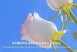 短链接转换：如何将长链接转换为短链接