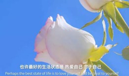 短链接转换：如何将长链接转换为短链接