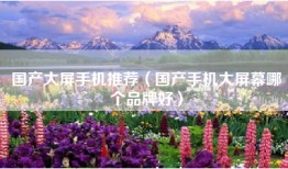国产大屏手机推荐（国产手机大屏幕哪个品牌好）