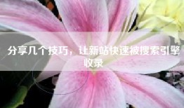 分享几个技巧，让新站快速被搜索引擎收录