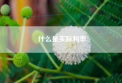 什么是实际利率