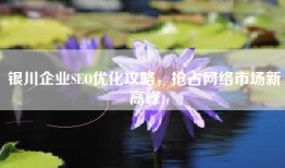 银川企业SEO优化攻略，抢占网络市场新高峰