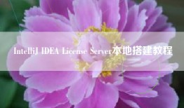 IntelliJ IDEA License Server本地搭建教程