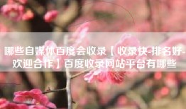 哪些自媒体百度会收录【收录快-排名好-欢迎合作】百度收录网站平台有哪些