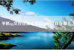 手机qq文件在哪（手机qq的文件在哪儿）