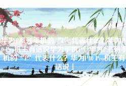 华为P系列手机的“P”代表什么？华为P40 Pro机主有话说华为手机P「华为P系列手机的“P”代表什么？华为P40 Pro机主有话说」