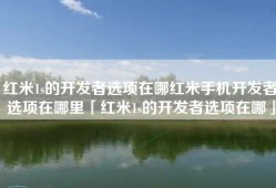 红米1s的开发者选项在哪红米手机开发者选项在哪里「红米1s的开发者选项在哪」