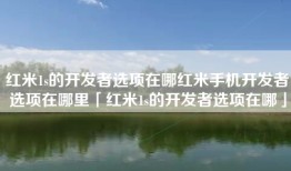 红米1s的开发者选项在哪红米手机开发者选项在哪里「红米1s的开发者选项在哪」