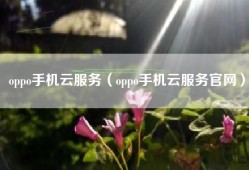 oppo手机云服务（oppo手机云服务官网）