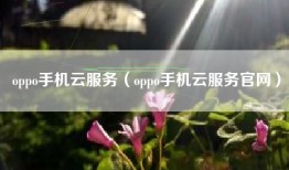 oppo手机云服务（oppo手机云服务官网）